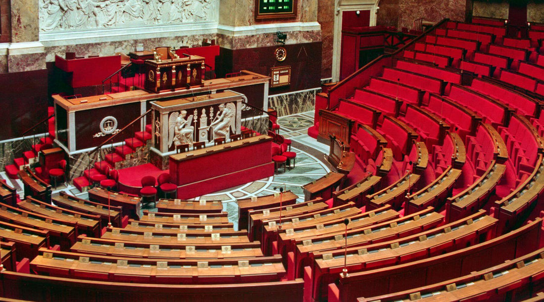 image d'article de blog de l'assemblée nationale française