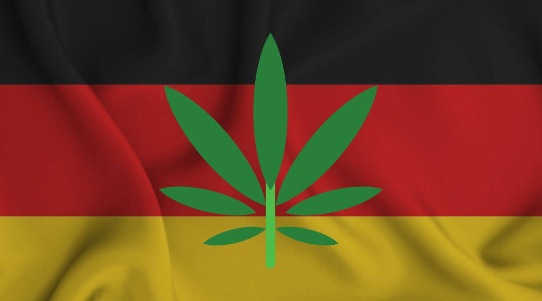 Image d'un drapeau allemand avec une illustration d'une feuille de cannabis par rapport à la légalisation 