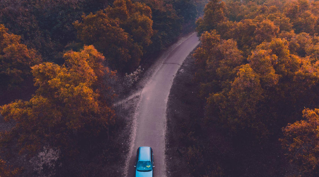 Photo d'une voiture qui roule sur une route degagée en foret vu de dessus