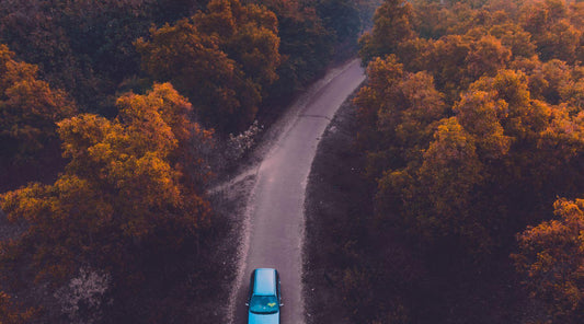 Vue aérienne d'une voiture roulant sur une route dégagée en forêt, illustrant la sécurité routière et les dangers des stupéfiants au volant.